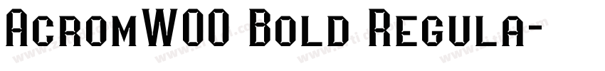 AcromW00 Bold Regula字体转换